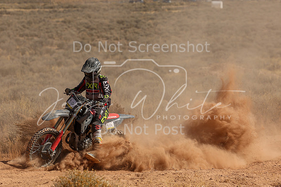 IMG_6578-310x