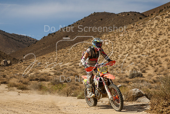 IMG_7282-569n