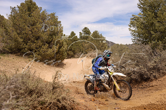 IMG_6239-212