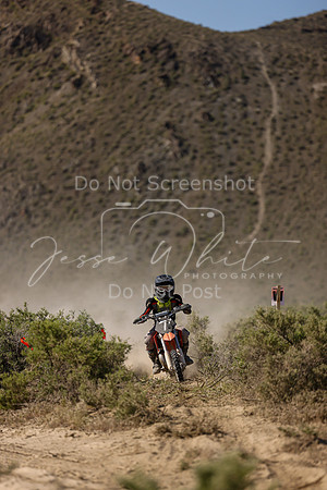 IMG_8104-7y