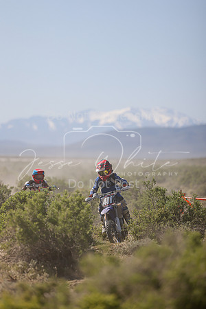 IMG_8307-411y
