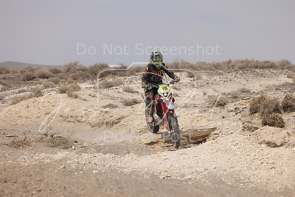 IMG_9591-97v