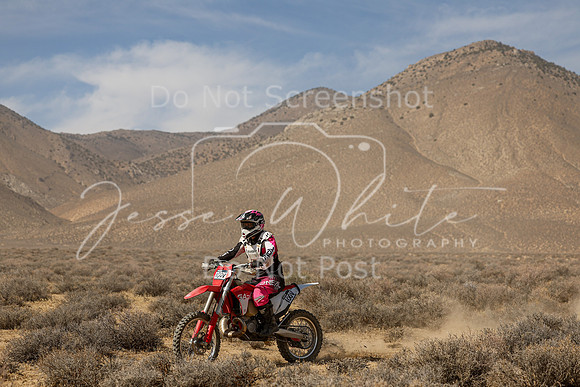 IMG_8587-100v