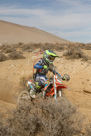 IMG_8850-209y