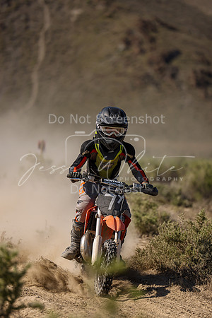 IMG_8108-7y