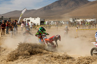 IMG_7914-7e