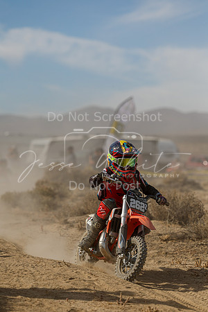 IMG_7813-262z