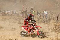 IMG_7925-7e