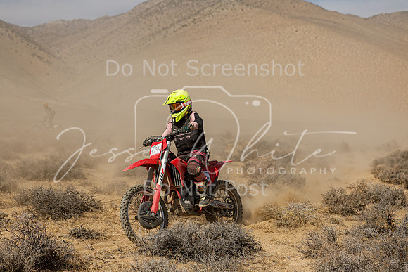 IMG_8388-474v