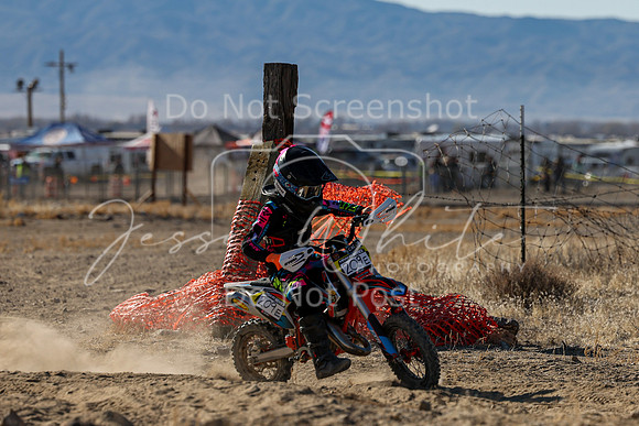 IMG_5240-209e