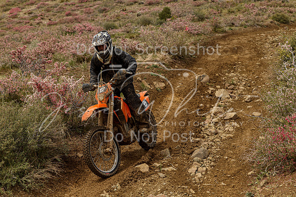IMG_2309-12