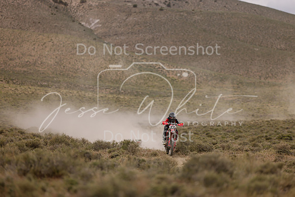IMG_1017-13p