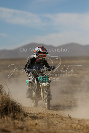 IMG_7800-6z
