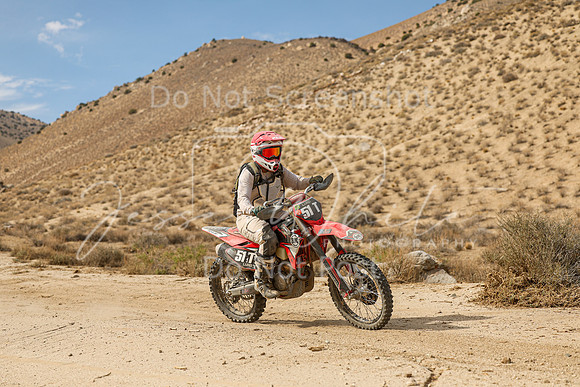 IMG_7436-51t