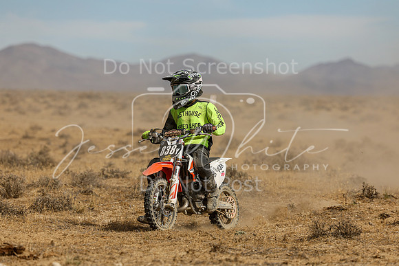 IMG_8191-838y