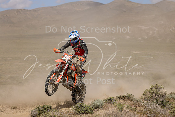 IMG_0054-26t