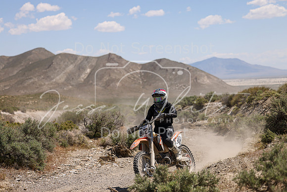 IMG_9137-812v