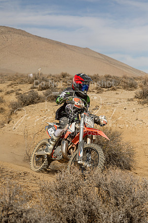 IMG_8828-24j