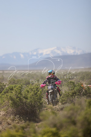 IMG_8326-802y