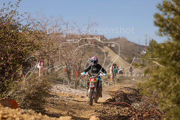 IMG_2589-13