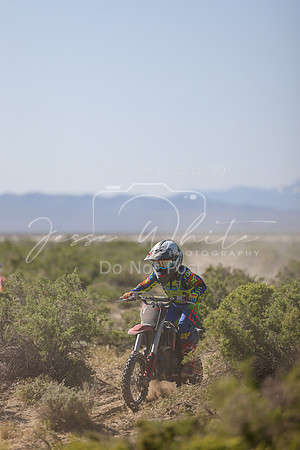 IMG_8273-313y