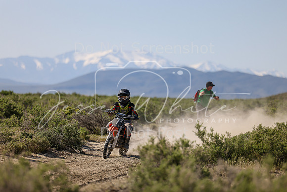 IMG_8017-7y