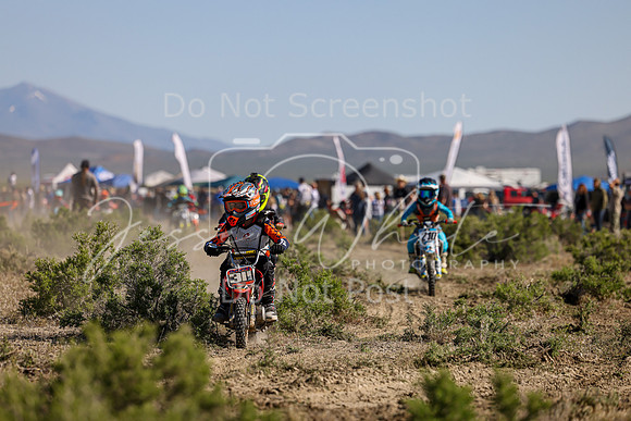 IMG_7897-311f