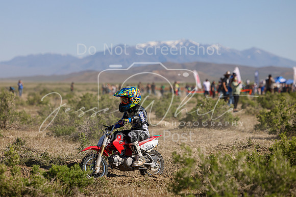 IMG_7893-385f