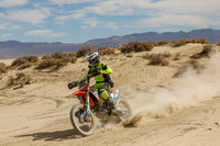 IMG_8972-350v