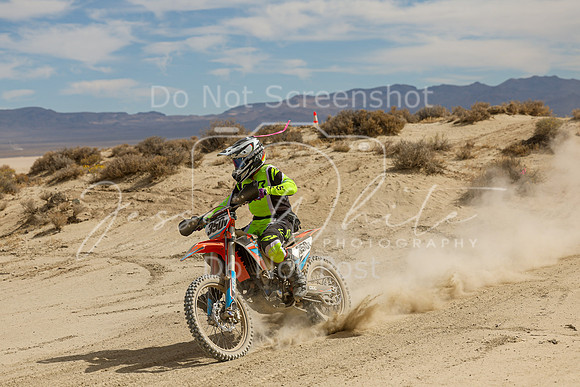 IMG_8972-350v