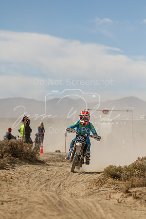 IMG_7991-528y