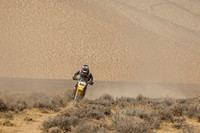 IMG_8346-350b