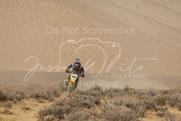 IMG_8346-350b