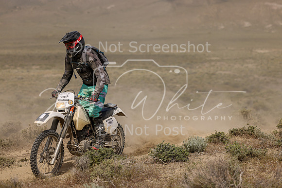 IMG_0179-488p