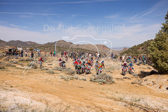 IMG_2098-