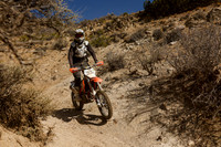 IMG_6264-33c