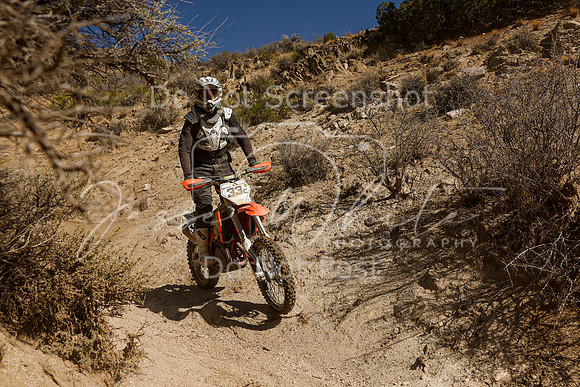 IMG_6264-33c