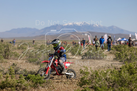 IMG_7919-20z