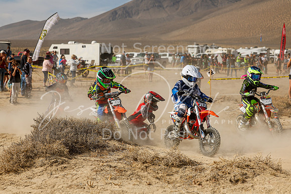 IMG_7912-717e