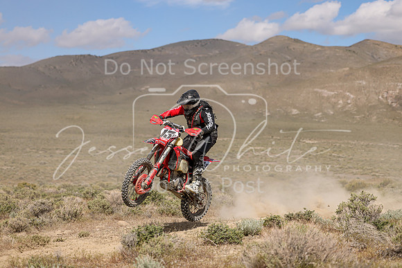 IMG_9790-13p