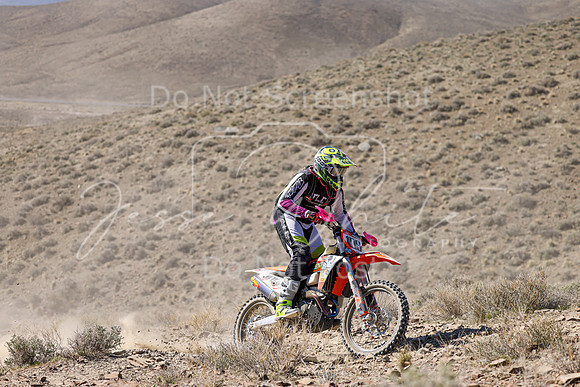 IMG_0602-109t