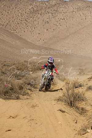 IMG_8793-33y