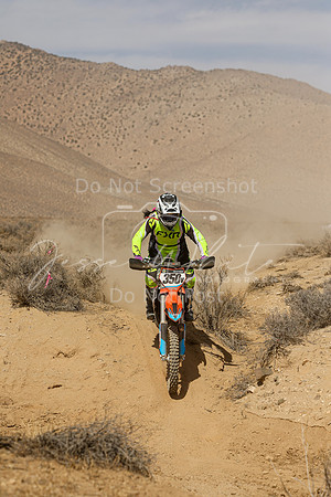 IMG_8708-350v