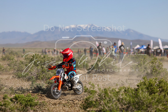 IMG_7910-40z