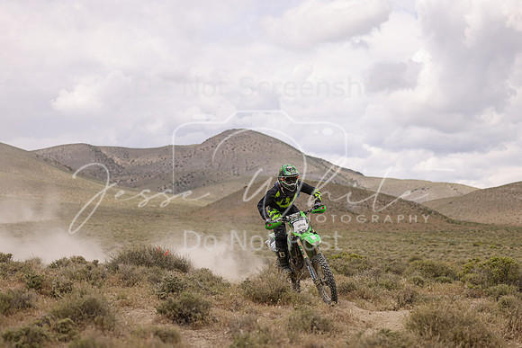 IMG_1040-474n