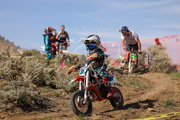 IMG_2239-41