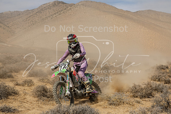 IMG_8361-77v