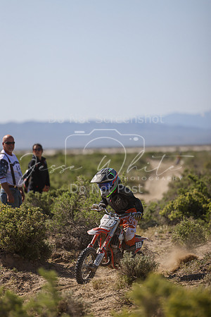 IMG_8341-88