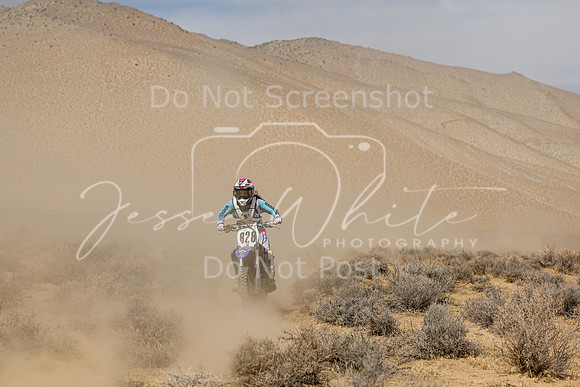 IMG_8371-828v