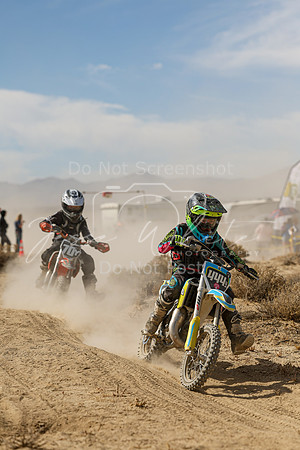 IMG_7998-444y
